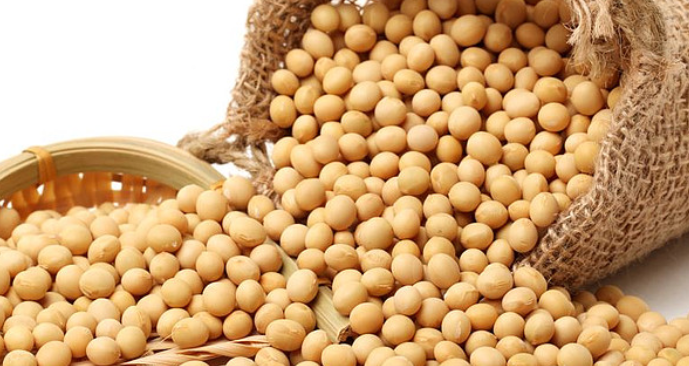 2025年美豆出口受阻(10月豆油继续偏弱震荡) 2025年美豆出口受阻(10月豆油继续偏弱震荡)