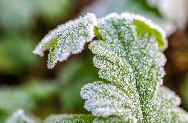今冬是否为超级冷冬?气象局释疑超级冷冬有哪些特征