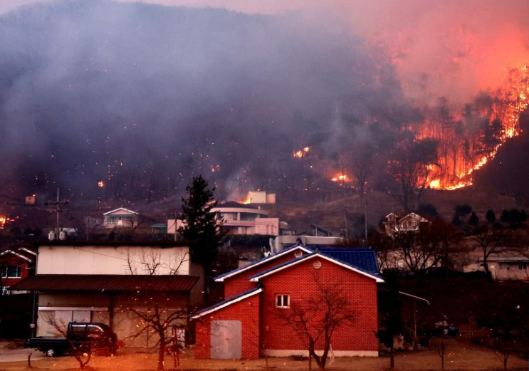 2025美国自然经济损失创纪录(美国上半年自然经济损失超千亿) 2025美国自然经济损失创纪录(美国上半年自然经济损失超千亿)