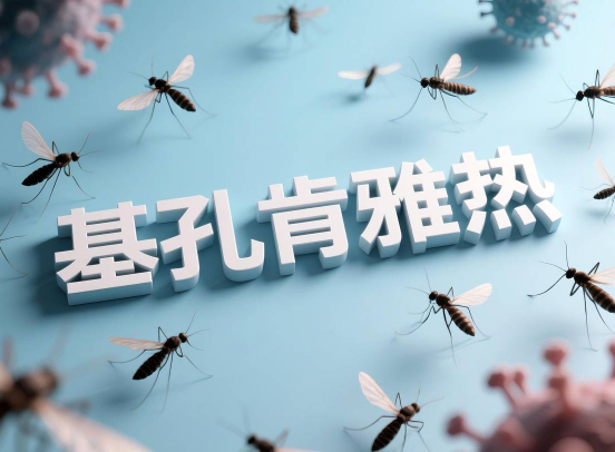 香港通报首例基孔肯雅热死亡病例 我国现阶段基孔肯雅热防控情况如何