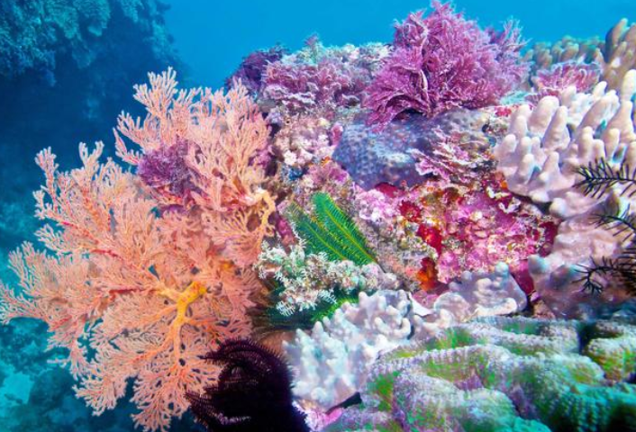 地球逼近第一个危险的气候临界点(第一个气候临界点是啥类型) 地球逼近第一个危险的气候临界点(第一个气候临界点是啥类型)