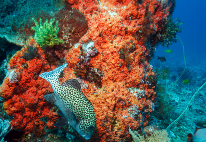 地球逼近第一个危险的气候临界点(第一个气候临界点是啥类型) 地球逼近第一个危险的气候临界点(第一个气候临界点是啥类型)