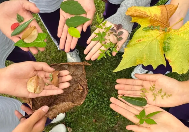 捡秋有风险尝鲜需谨慎!秋季哪些野味不能吃？