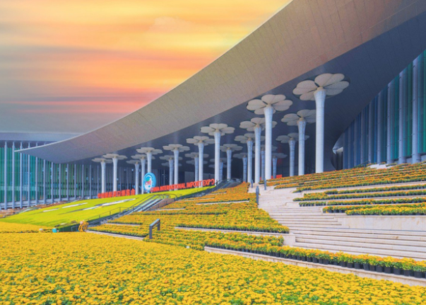 第八届进博会亮点抢先看(2025年第八届进博会有啥看点)