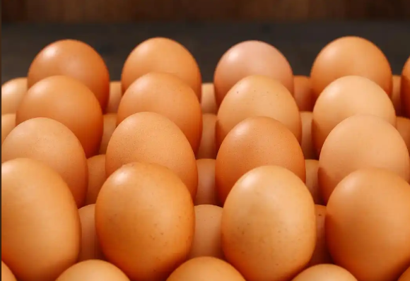 日本鸡蛋价格逼近历史最高值 东京中号鸡蛋批发价达每公斤325日元 日本鸡蛋价格逼近历史最高值 东京中号鸡蛋批发价达每公斤325日元