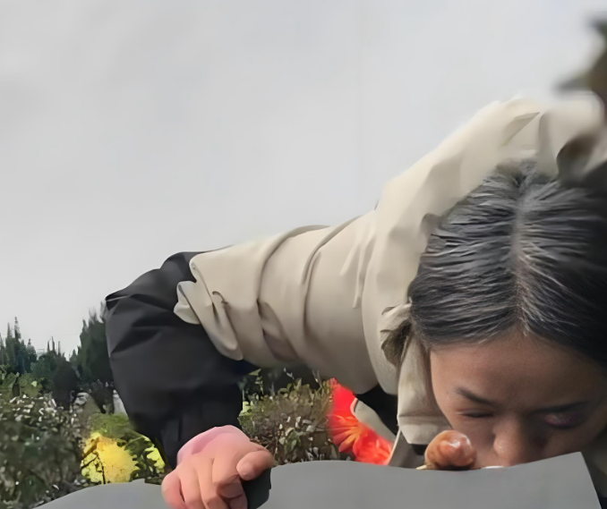 白发母亲与石碑前的守候 34岁妈妈满头白发亲吻去世孩子墓碑