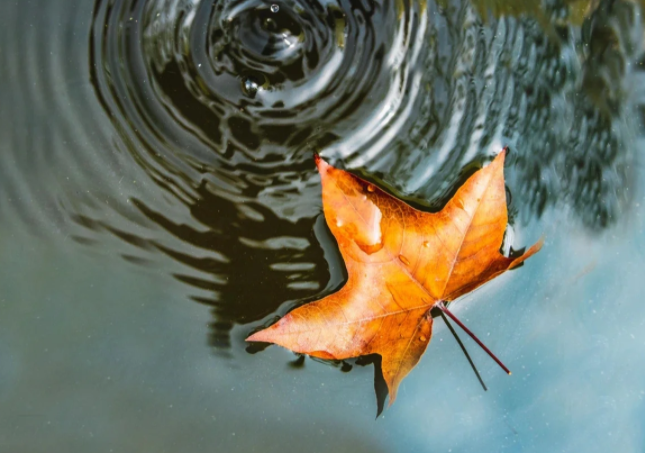 超两周的乏力还是秋乏吗?频繁累可能是身体发出的预警 超两周的乏力还是秋乏吗?频繁累可能是身体发出的预警