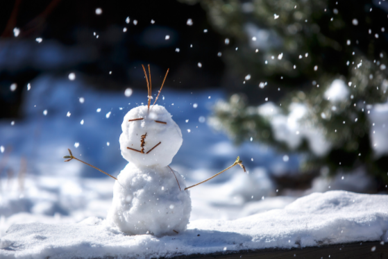 暴雪蓝色预警!局地有大暴雪(2025冬季全国首个暴雪预警发布)