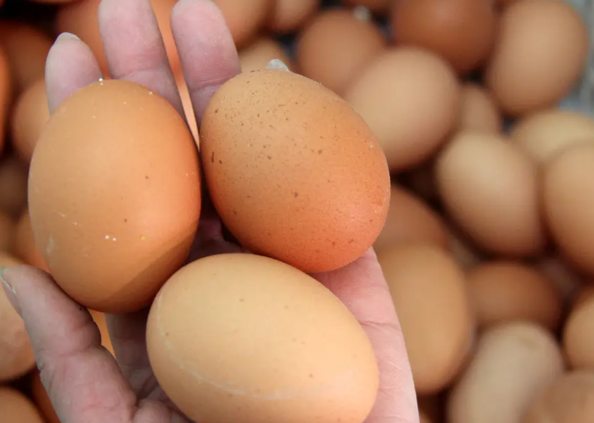脏鸡蛋能洗吗?怎么判断新鲜 鸡蛋清洗了之后能放多久
