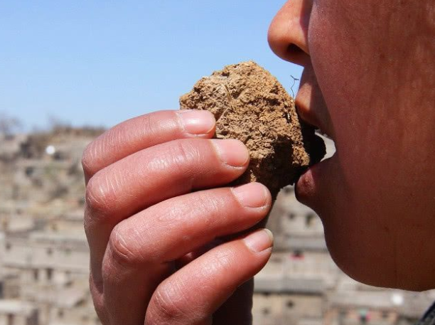 荒野求生赛选手吃烧红泥土治拉肚子(吃烧红泥土真能止泻吗)