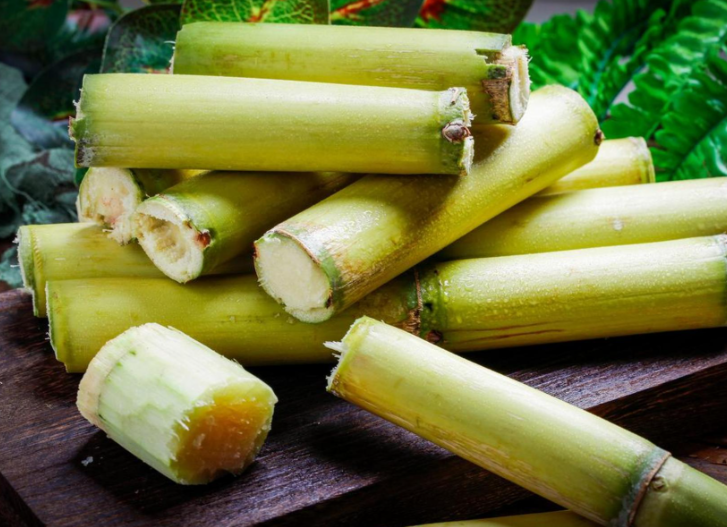 一根甘蔗91元？上海一消费者称花91元买一根甘蔗！