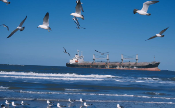 海鸥来了最强可达台风或强台风级 今年第25号台风海鸥对我国天气有什么影响