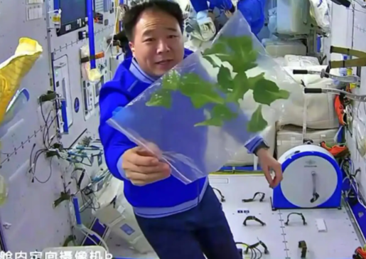 中国航天员在太空烤鸡翅 太空食物升级反映出我国太空技术的哪些进步 中国航天员在太空烤鸡翅 太空食物升级反映出我国太空技术的哪些进步