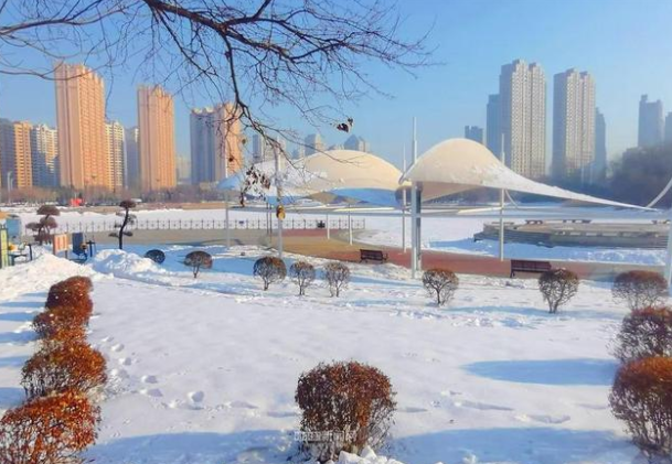 北方迎大暴雪特大暴雪(北方11月首场大范围雨雪来了)