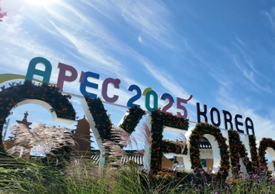 今年APEC会议有哪些成果 第三十二次APEC会议有哪些亮点 今年APEC会议有哪些成果 第三十二次APEC会议有哪些亮点