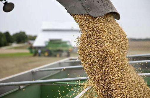 芝加哥小麦期货三天涨4.9%，芝加哥大豆跌超1.2%