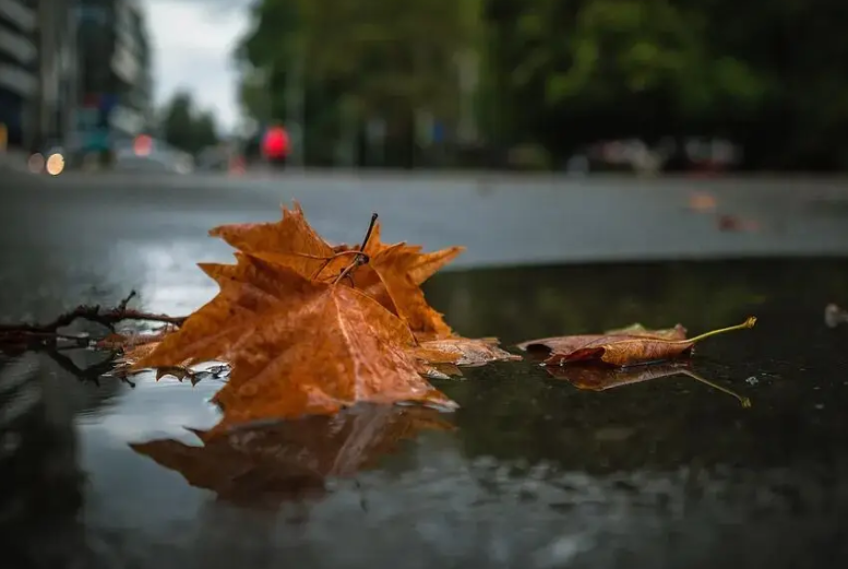 北方多地气温或创立秋来新低(11月北方雨雪进入最强时段)