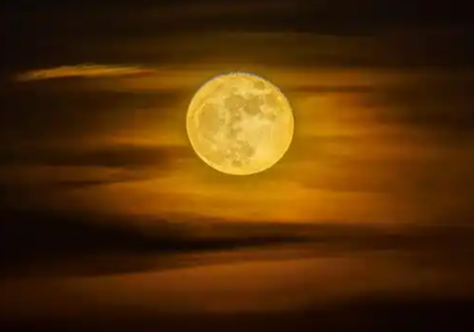 XXXL号月亮来了最佳赏月时间请收 11月5日晚将迎来本年度最大满月
