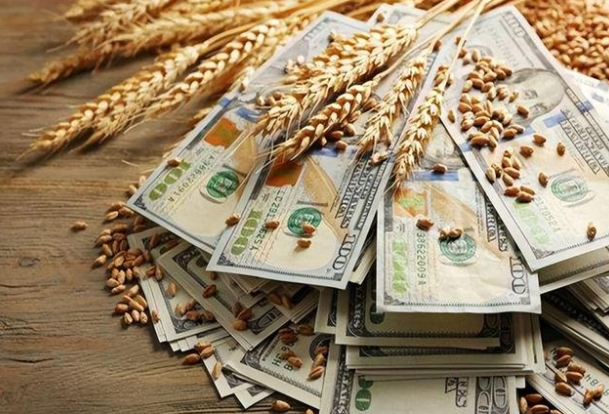 芝加哥小麦期货三天涨4.9%(国际小麦价格会受影响么) 芝加哥小麦期货三天涨4.9%(国际小麦价格会受影响么)