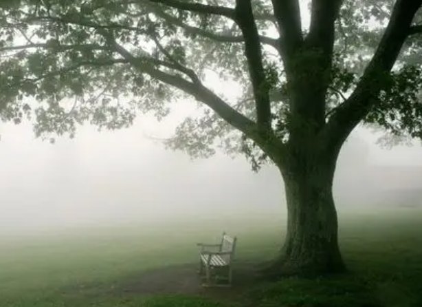 京津冀局地有强浓雾能见度不足200米(2025京津冀雾霾严重吗)