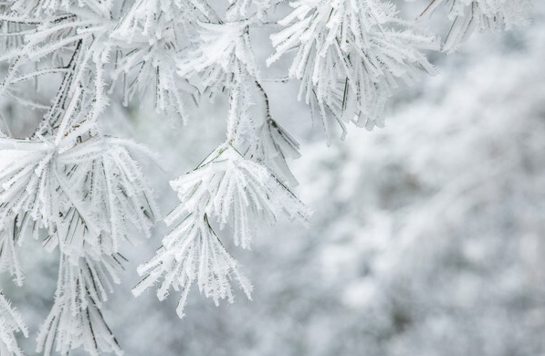 立冬时节真的一天比一天冷吗 立冬期间应该注意什么 立冬时节真的一天比一天冷吗 立冬期间应该注意什么
