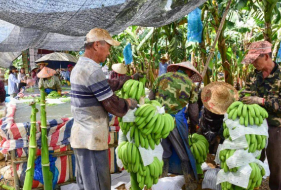 菲律宾第三季度GDP同比增长4.0% 菲律宾三季度GDP增长主力行业是哪些