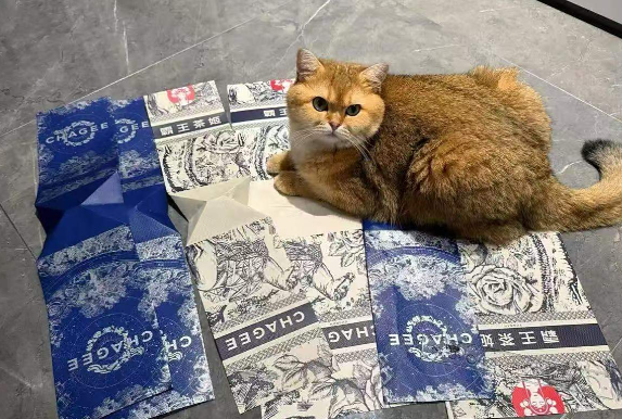 年轻人开始沉迷奶茶袋有人赚近千元 为什么年轻人喜欢收藏奶茶袋 年轻人开始沉迷奶茶袋有人赚近千元 为什么年轻人喜欢收藏奶茶袋