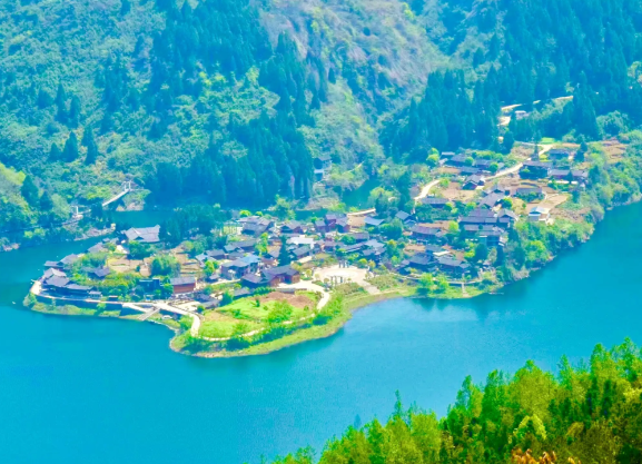 首次发现!极危植物“红头索”长这样 保靖酉水国家湿地公园发现红头索 首次发现!极危植物“红头索”长这样 保靖酉水国家湿地公园发现红头索