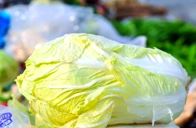 白菜这样吃是“百菜之王”！2025年冬季白菜的营养搭配宝典