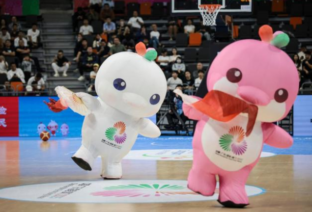 全运会顶流大湾鸡是如何走红(全运会吉祥物大湾鸡是啥动物)