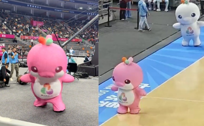 大湾鸡出圈内胆是10后小孩哥(大湾鸡内里竟是武校少年) 大湾鸡出圈内胆是10后小孩哥(大湾鸡内里竟是武校少年)