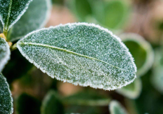 强冷空气来袭多地降幅达15℃以上(今年下半年首场寒潮来袭)