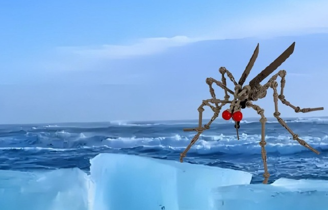 冰岛又发现一只蚊子！地球上的“无蚊净土”仅剩南极