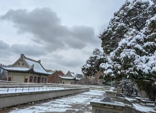 武汉下雪了！武汉今年初雪比去年提前了23天