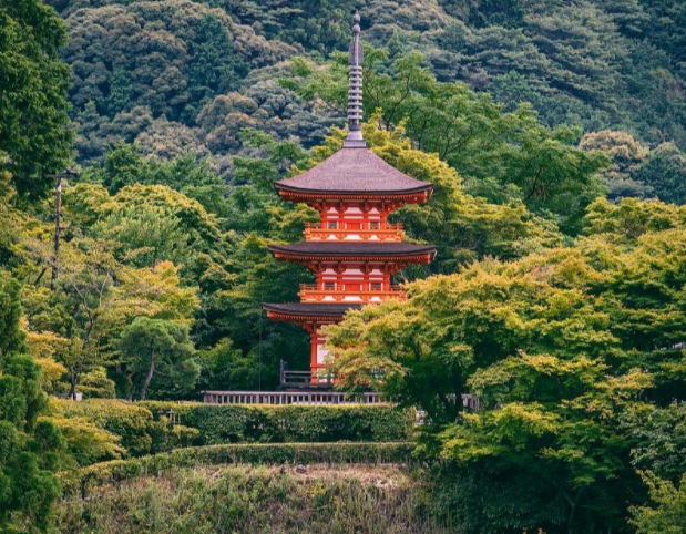 韩国取代日本成为出境游最热目的地,日本游为何急速“退潮” 韩国取代日本成为出境游最热目的地,日本游为何急速“退潮”