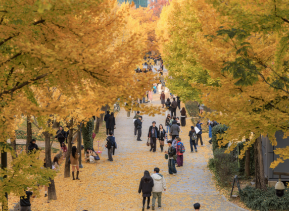 韩国取代日本成为出境游最热目的地 文旅部门建议中国游客近期避免前往日本旅游 韩国取代日本成为出境游最热目的地 文旅部门建议中国游客近期避免前往日本旅游