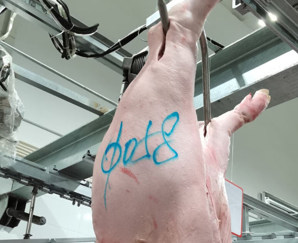 猪肉记号笔标记新生儿有风险吗(科学标识新生儿身份2025)