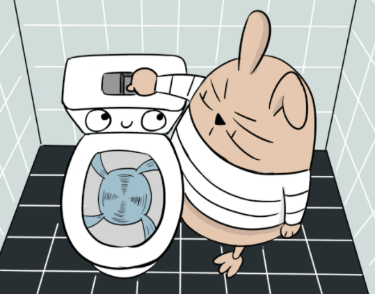 北京商场公厕女厕6成马桶污染,为啥女性都爱踩着用公厕马桶? 北京商场公厕女厕6成马桶污染,为啥女性都爱踩着用公厕马桶?