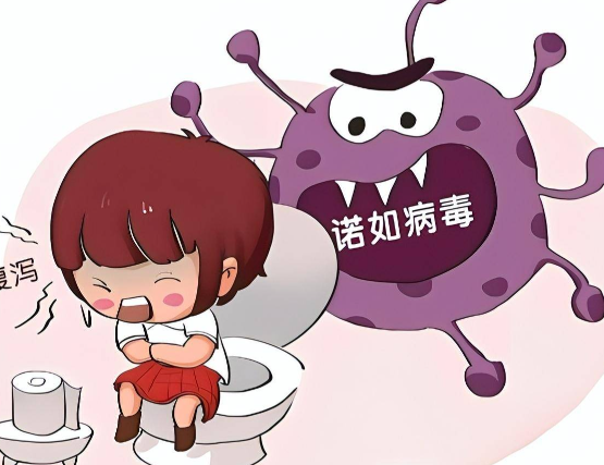 轮状病毒、诺如病毒等感染进入高发期 日常饮食出行如何避免感染诺如病毒