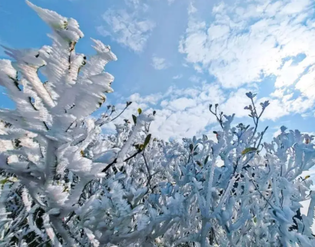 广东冷到“结冰”了(气温跌破0℃广东一地结冰了)