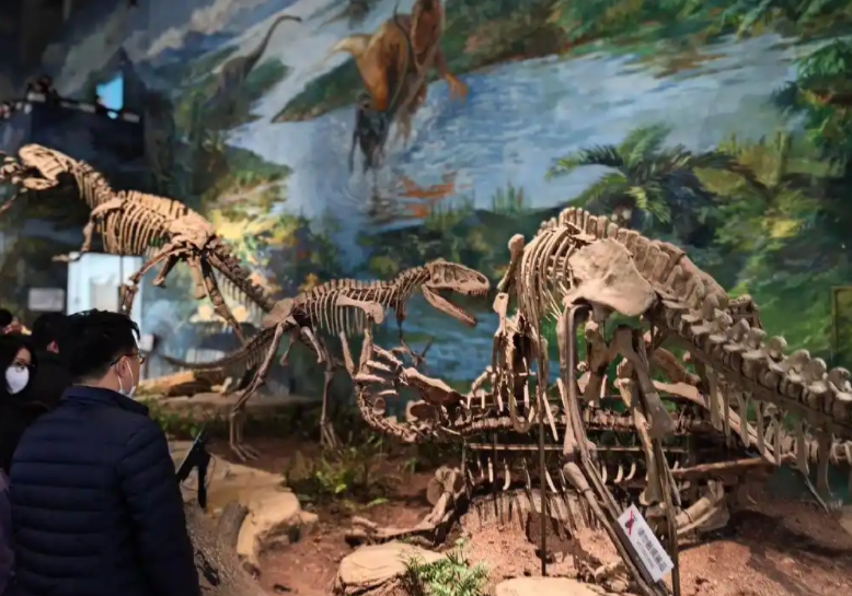 四川古蔺惊现恐龙王国(四川古蔺新发现恐龙化石了吗) 四川古蔺惊现恐龙王国(四川古蔺新发现恐龙化石了吗)