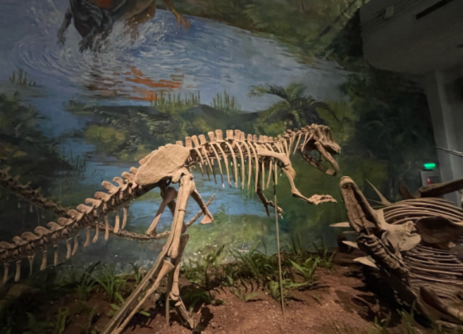 四川古蔺惊现恐龙王国(四川古蔺新发现恐龙化石了吗) 四川古蔺惊现恐龙王国(四川古蔺新发现恐龙化石了吗)