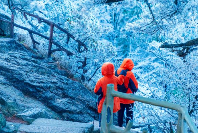 在黄山看到了金色雾凇(今冬首场雾凇云海联袂来袭) 在黄山看到了金色雾凇(今冬首场雾凇云海联袂来袭)