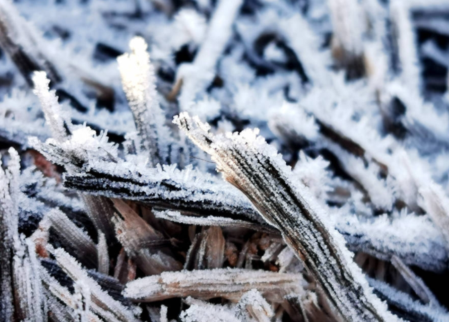 广东冷到“结冰”了(气温跌破0℃广东一地结冰了)