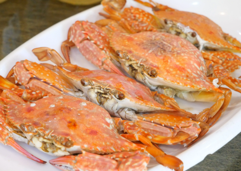 印度想替代日本对华出口水产品(印度水产业号称南亚鱼塘)