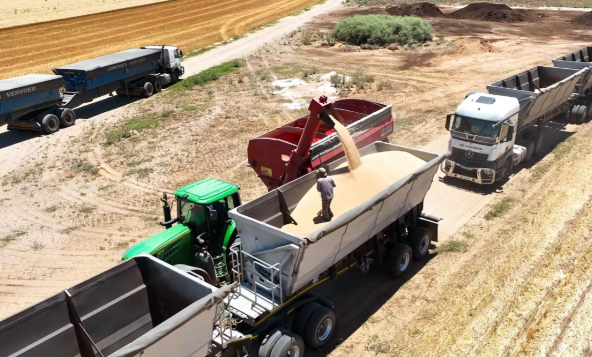 芝加哥小麦期货跌1.5% 20日CBOT小麦期货报5.4125美元/蒲式耳 芝加哥小麦期货跌1.5% 20日CBOT小麦期货报5.4125美元/蒲式耳