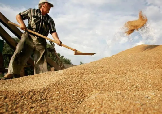芝加哥小麦期货跌1.5% 20日CBOT小麦期货报5.4125美元/蒲式耳 芝加哥小麦期货跌1.5% 20日CBOT小麦期货报5.4125美元/蒲式耳