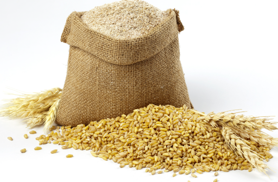 芝加哥小麦期货跌1.5% 20日CBOT小麦期货报5.4125美元/蒲式耳 芝加哥小麦期货跌1.5% 20日CBOT小麦期货报5.4125美元/蒲式耳