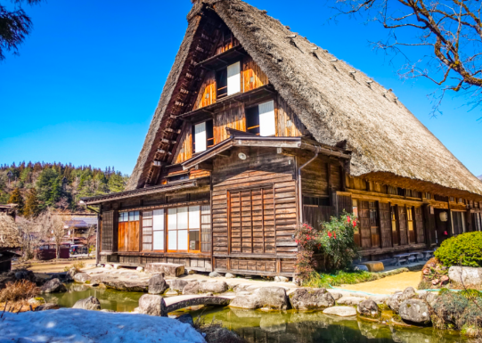 超54万张飞往日本机票被取消 日本一旅行社失去80%订单