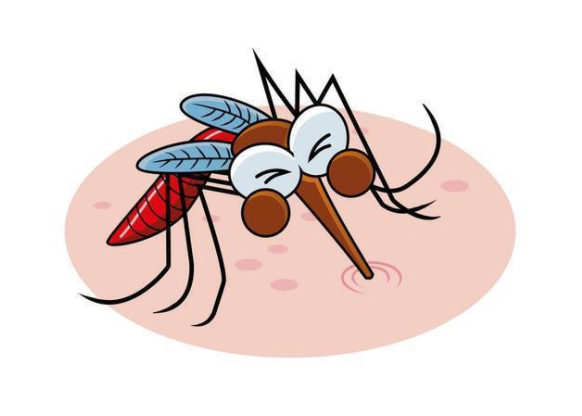 冬天咬人的蚊子已经出现了(冬天蚊子遍布除南极外的全球)